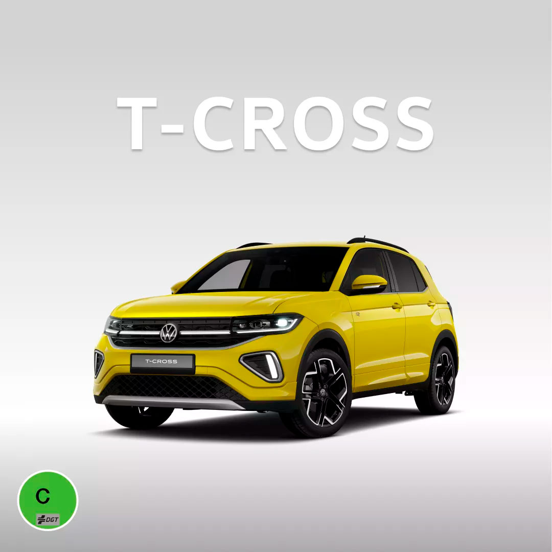 Descripción de la imagen